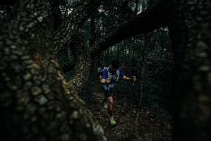 BIB: 
                            <button type="button" onclick="openModal(25688278)" class="btn btn-primary btn-sm float-right btn-popup" data-toggle="modal" data-target=".modal-high-quality">
                        <i class="fas fa-shopping-cart"></i> Add to Cart
                    </button>
                                            <button type="button" onclick="isThisMe(25688278, true)" class="btn btn-success btn-sm float-right btn-popup btn-isme hidden" data-toggle="tooltip" data-placement="bottom" title="นี่คือรูปของคุณใช่ไหม คลิกที่นี่เพื่อเอาเข้าอัลบั้ม">
                        <i class="fas fa-plus"></i> Add to album
                    </button>
                    <button type="button" onclick="isThisMe(25688278, false)" class="btn btn-warning btn-sm float-right btn-popup btn-isnotme hidden">
                        <i class="fas fa-ban"></i> Remove from album
                    </button>